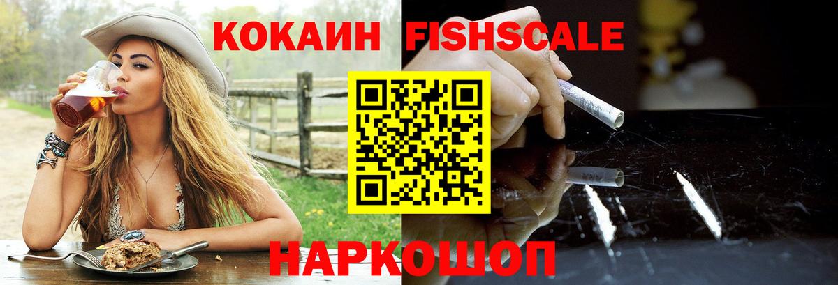 Щёкино  продажа наркотиков  Cocaine Fish Scale  Вход с VPN  COCAIN FishScale 