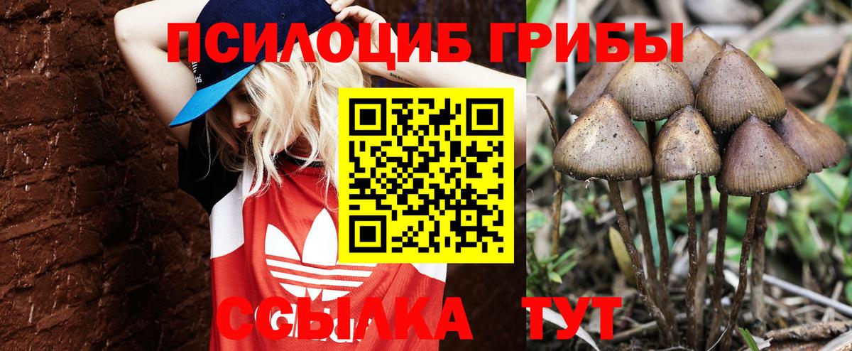 Псилоцибиновые грибы мицелий Щёкино